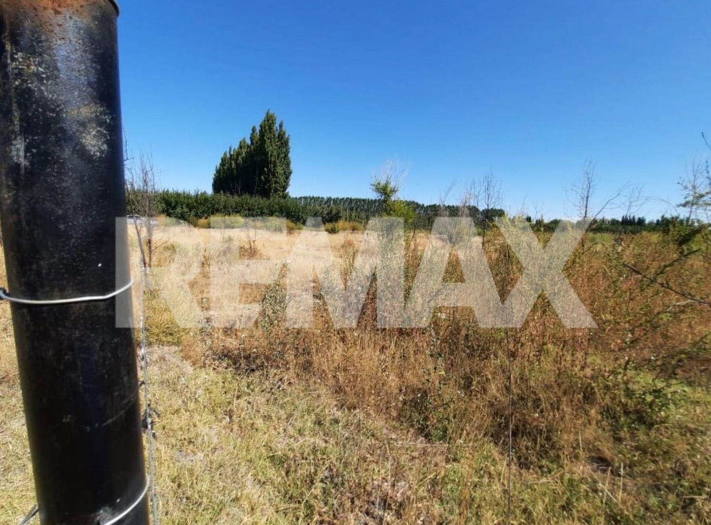 Foto de VENTA DE PARCELA EN CHACRA 63 ALLEN, RÍO NEGRO, imagen 5
