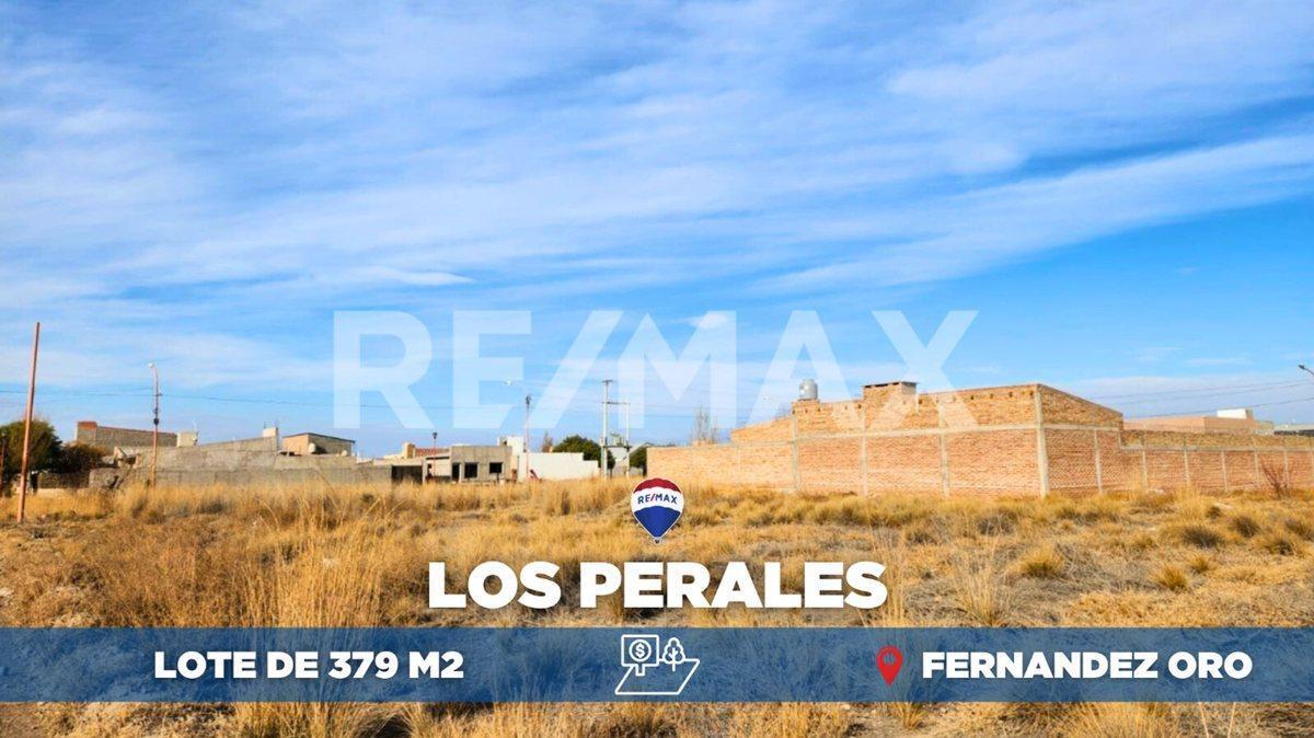 Foto de LOTE "LOS PERALES", FERNANDEZ ORO, RIO NEGRO, imagen 1