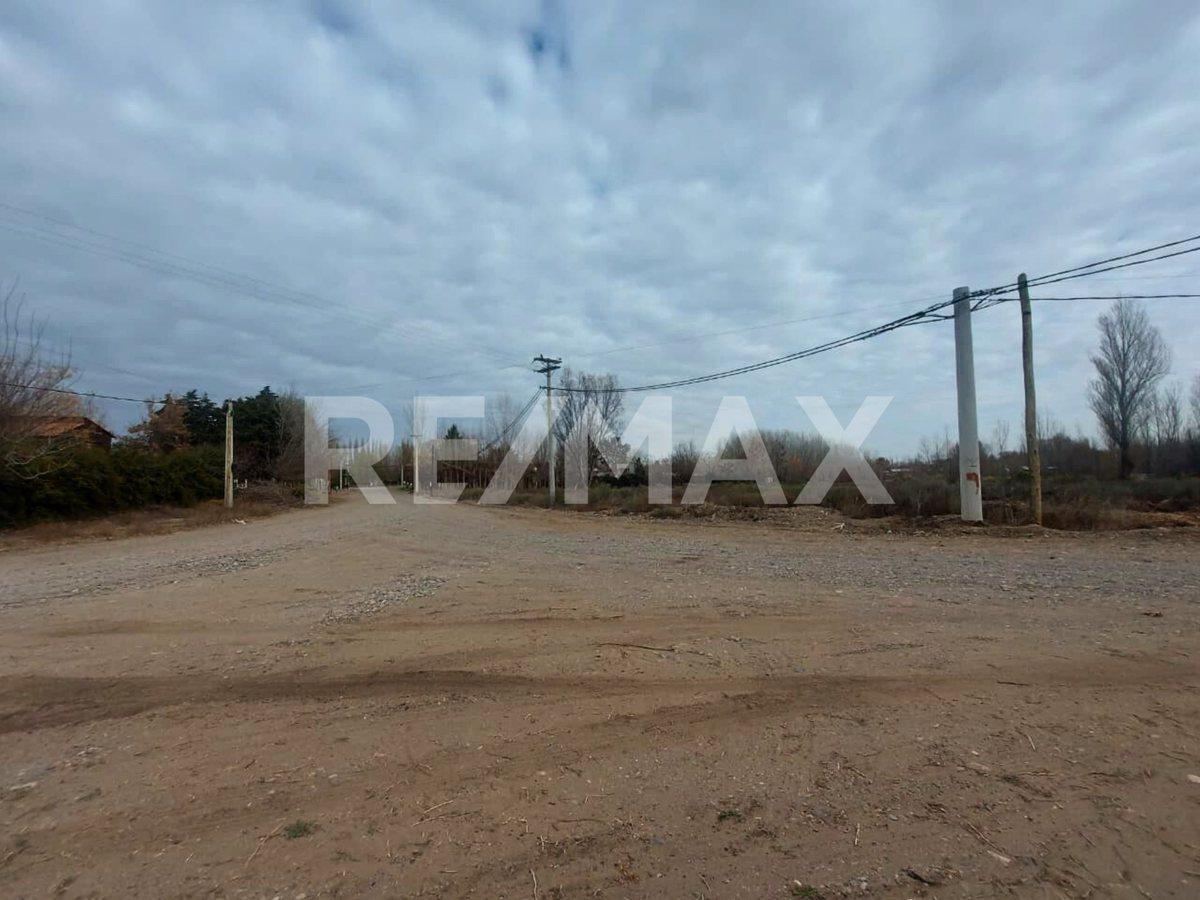 Foto de VENTA LOTE LIMAY AZUL, CHINA MUERTA - PLOTTIER, imagen 2