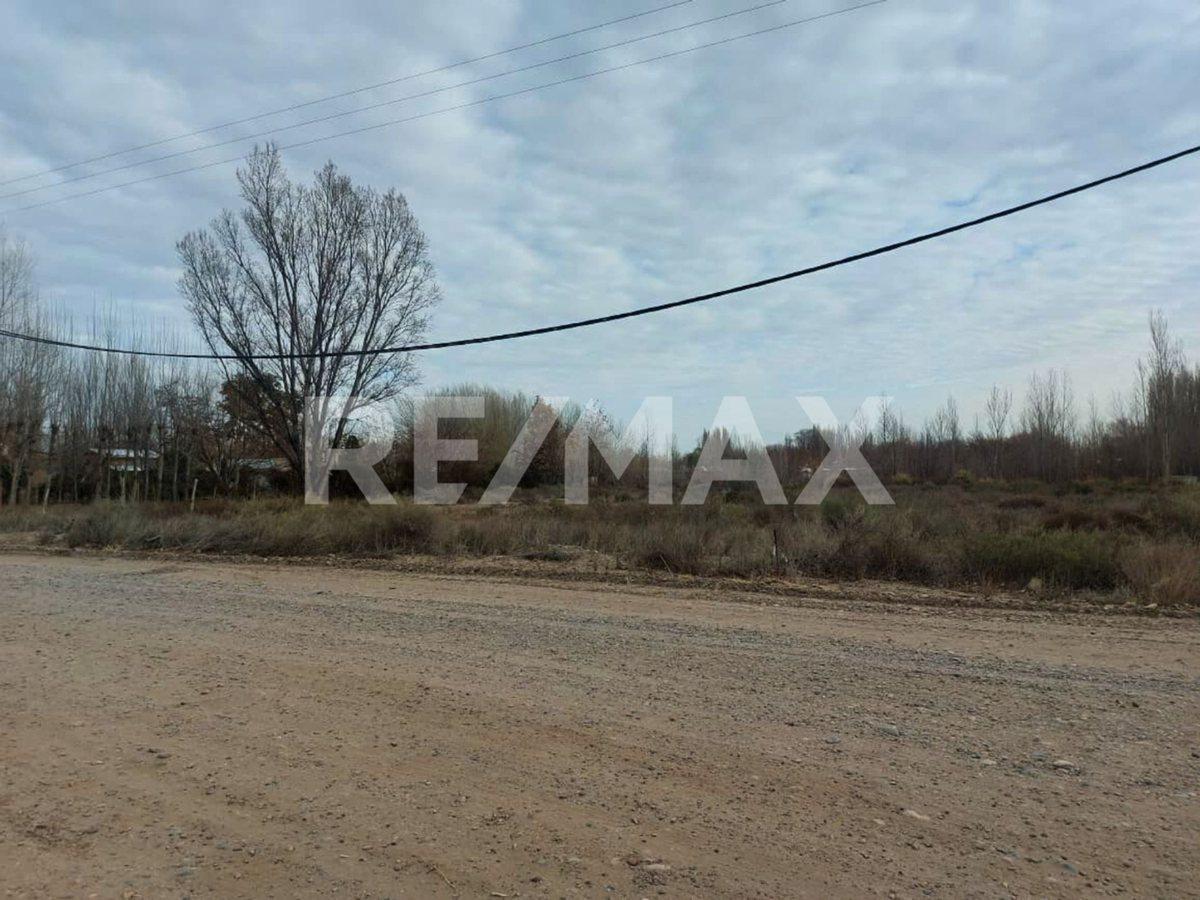 Foto de VENTA LOTE LIMAY AZUL, CHINA MUERTA - PLOTTIER, imagen 3