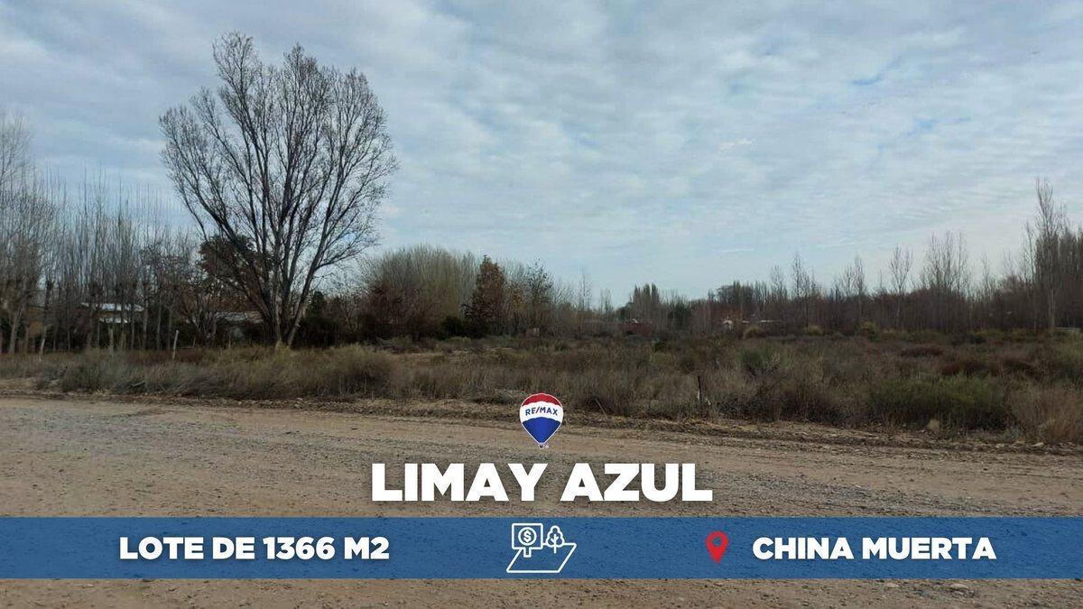 Foto de VENTA LOTE LIMAY AZUL, CHINA MUERTA - PLOTTIER, imagen 1