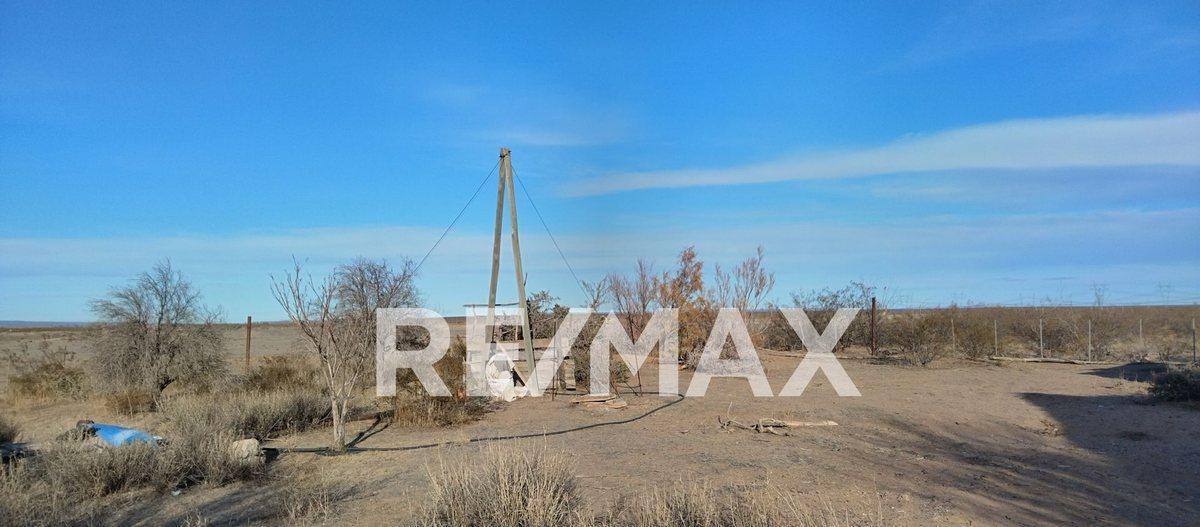 Foto de VENTA CHACRA 10 HECTAREAS CON CASA EN SENILLOSA, imagen 3