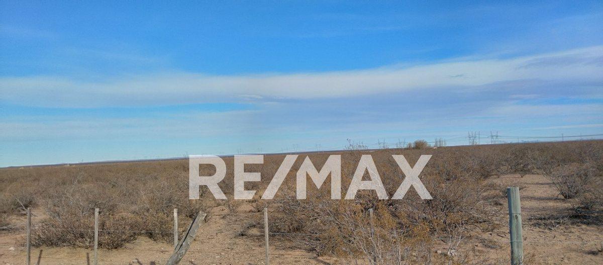 Foto de VENTA CHACRA 10 HECTAREAS CON CASA EN SENILLOSA, imagen 4