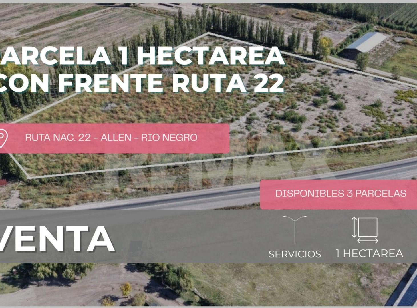 Foto de VENTA - PARCELA 1 HECTAREA FRENTE RUTA 22 - ALLEN, imagen 1