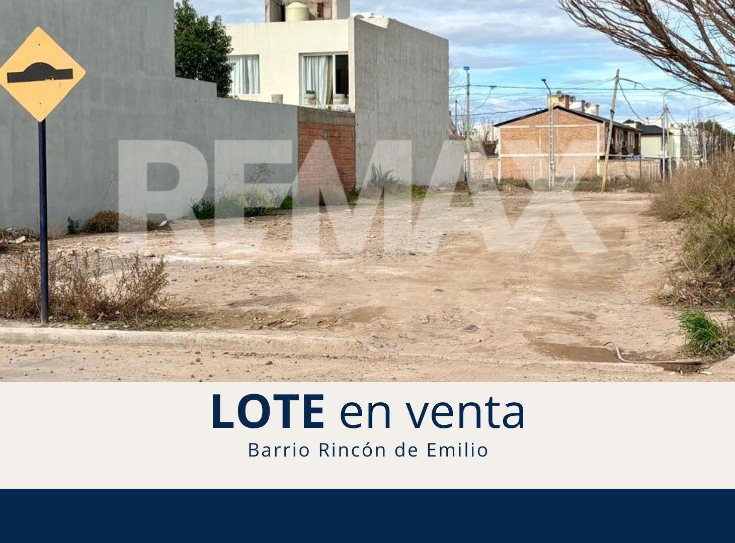 Foto de VENTA EN BLOQUE DE DOS LOTES EN RINCÓN DE EMILIO., imagen 2