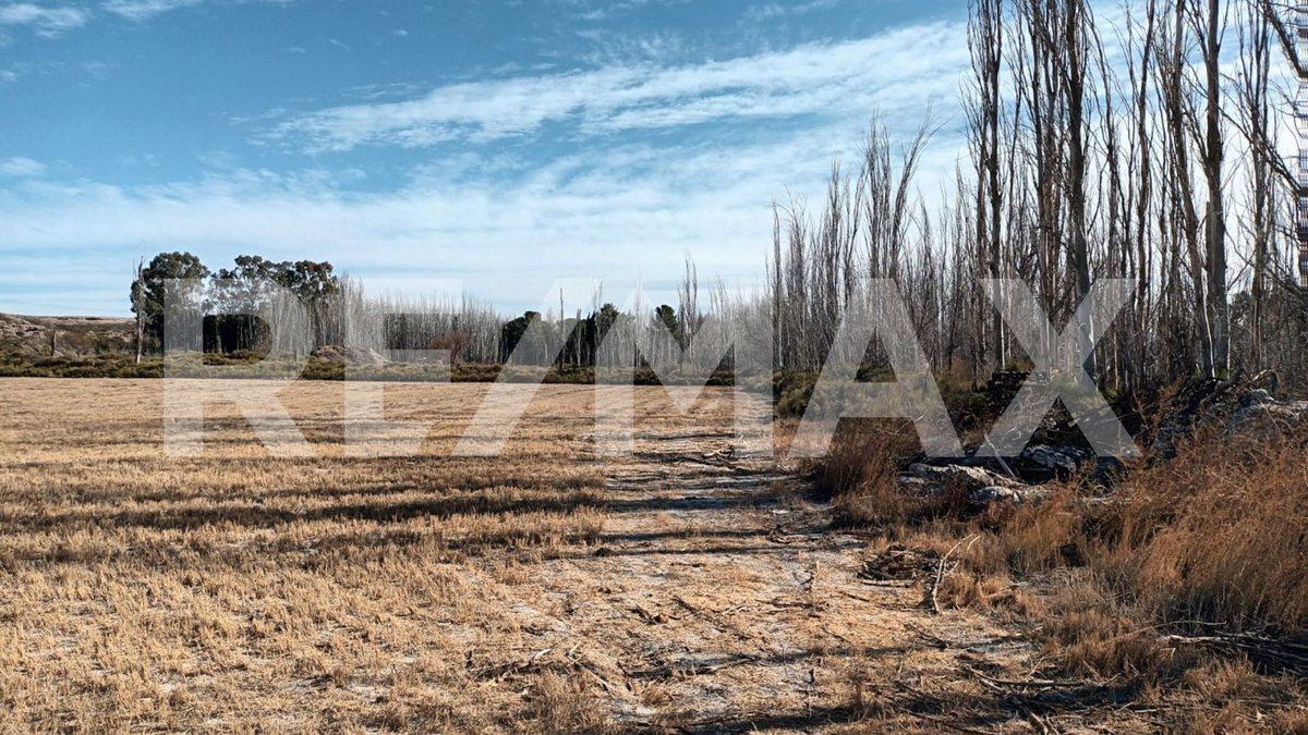 Foto de ALQUILER DE HECTÁREA - VISTA ALEGRE, imagen 2