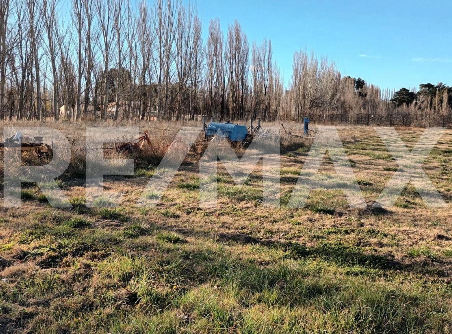 Foto de ALQUILER DE TERRENO CON FRENTE RUTA 7, imagen 3