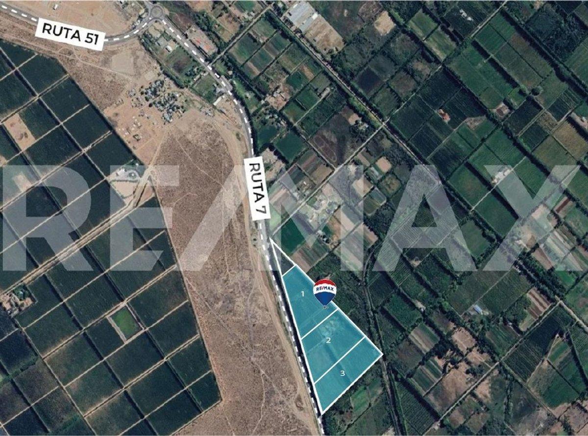 Foto de VENTA DE HECTAREAS - FRENTE RUTA 7 - VISTA ALEGRE, imagen 3