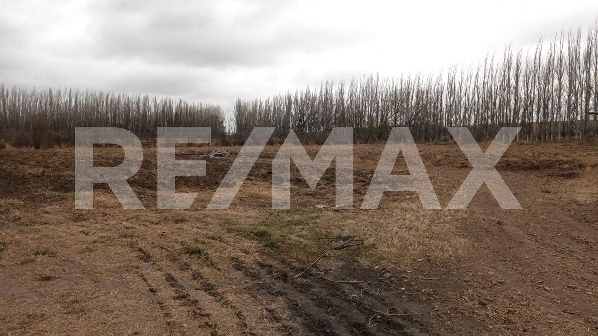 Foto de VENTA DE HECTAREAS - FRENTE RUTA 7 - VISTA ALEGRE, imagen 1
