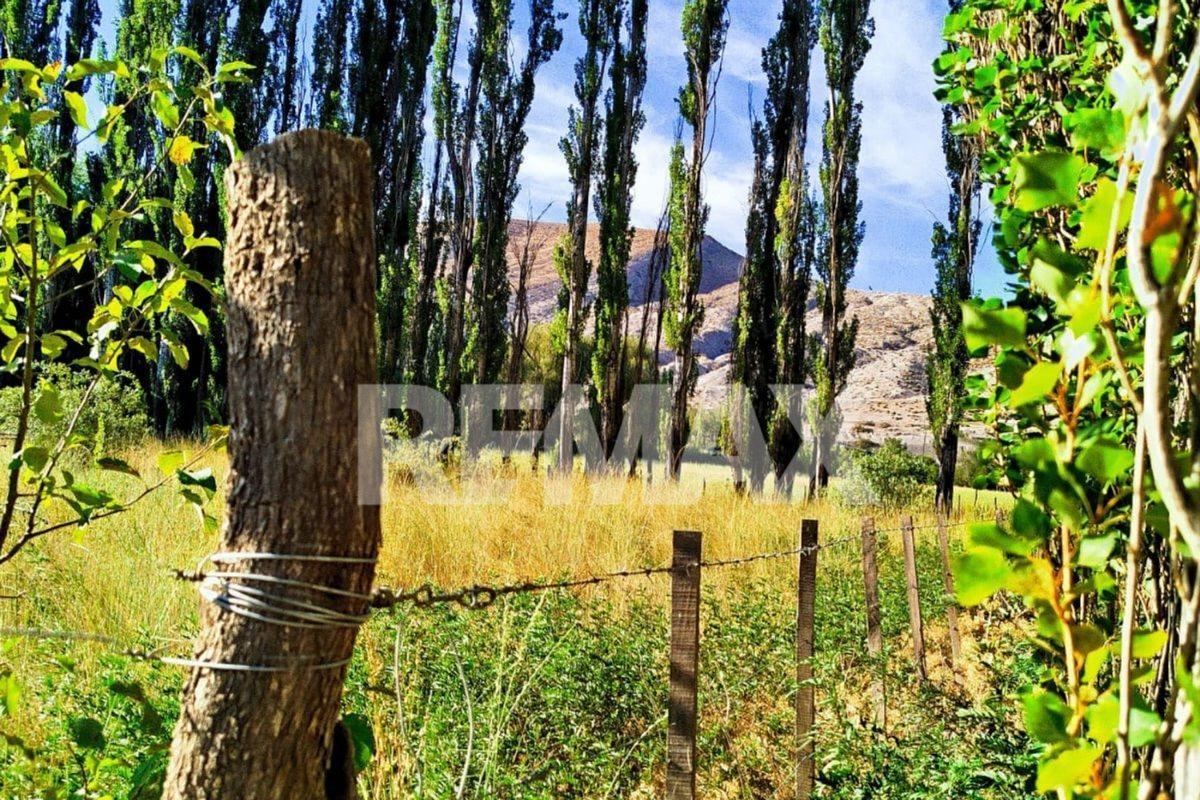 Foto de TERRENO EN VENTA | CHACRAS DEL YOYO – CHOS MALAL,, imagen 3