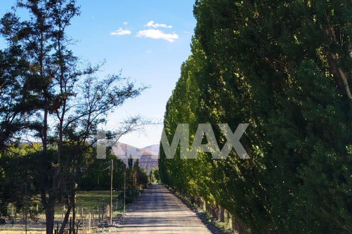 Foto de TERRENO EN VENTA | CHACRAS DEL YOYO – CHOS MALAL,, imagen 4