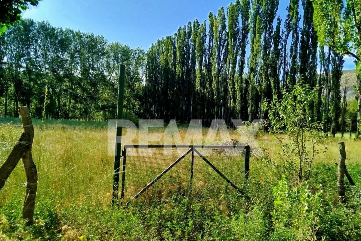 Foto de TERRENO EN VENTA | CHACRAS DEL YOYO – CHOS MALAL,, imagen 5