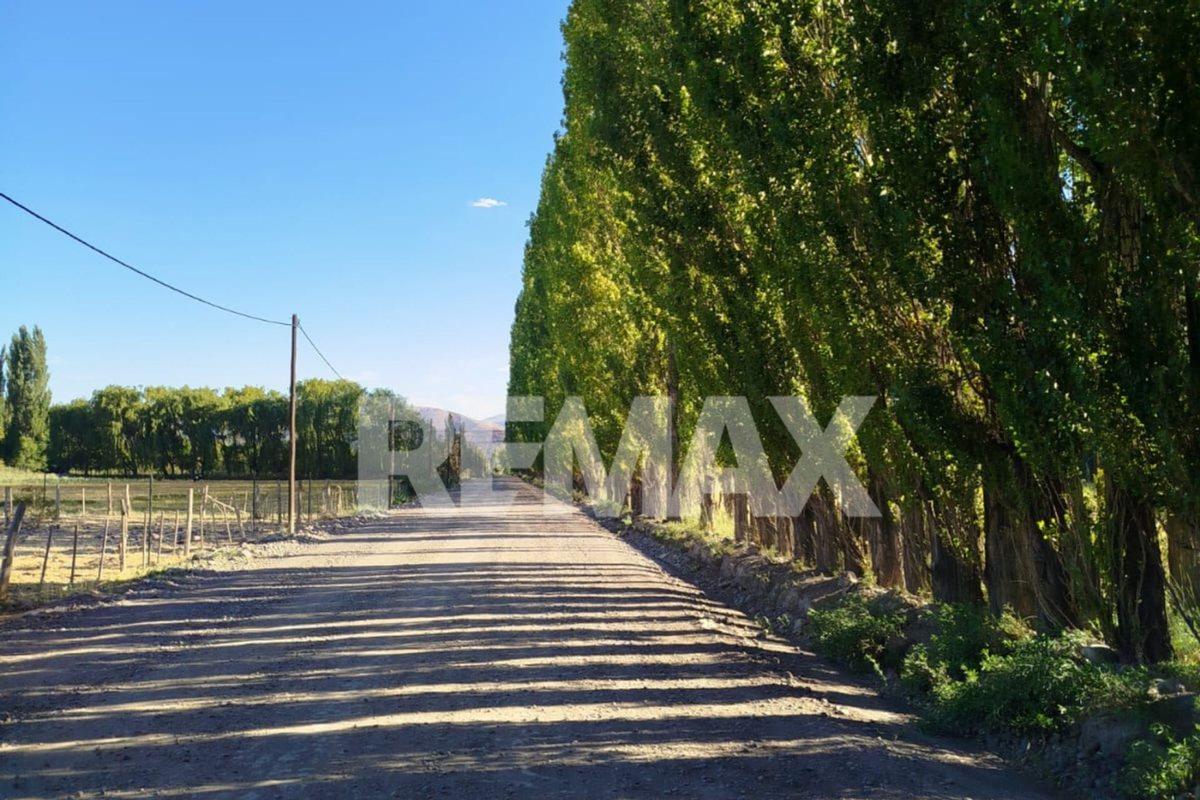Foto de TERRENO EN VENTA | CHACRAS DEL YOYO – CHOS MALAL,, imagen 1