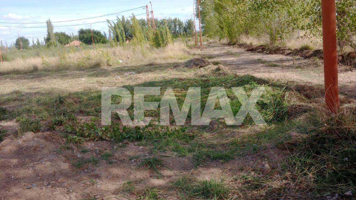 Foto de Lote en esquina en venta – Zona, imagen 4