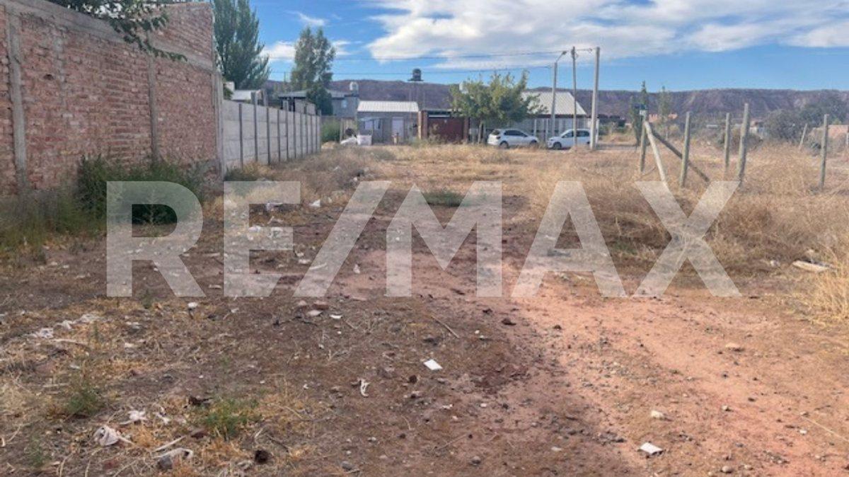 Foto de TERRENO EN VENTA BARDA SOLEADA, PLOTTIER, imagen 2