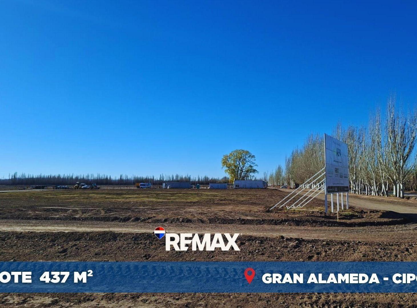 Foto de VENTA LOTE GRAN ALAMEDA CIPOLLETTI 437M2, imagen 3