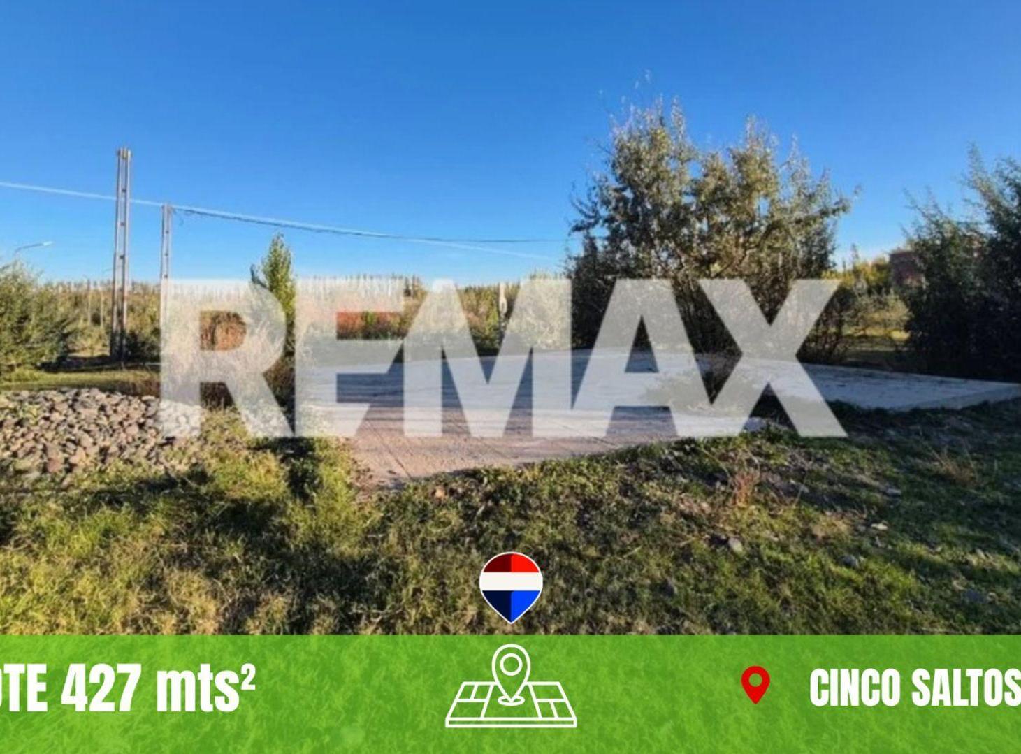 Foto de Lote 427m2 con platea - luz y gas - Cinco saltos, imagen 1