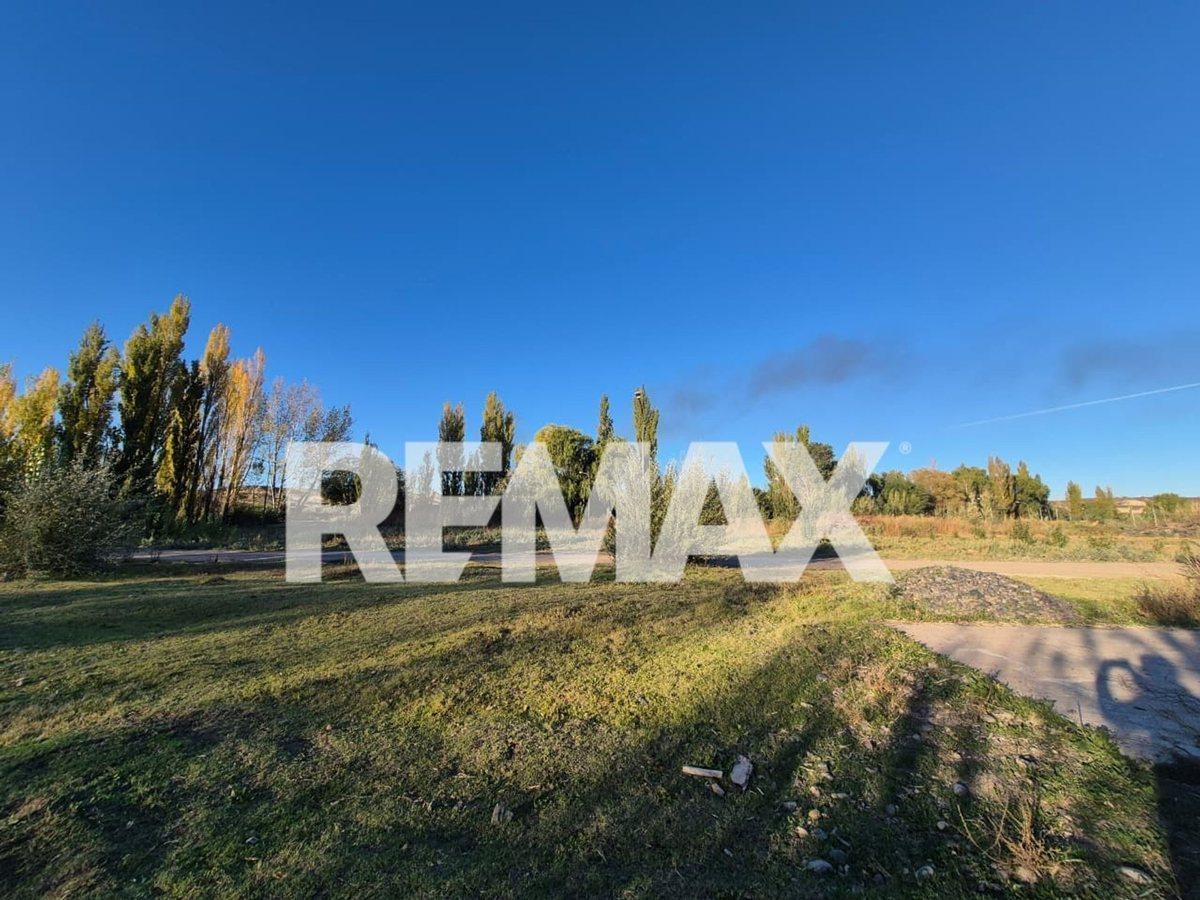Foto de Lote 427m2 con platea - luz y gas - Cinco saltos, imagen 4
