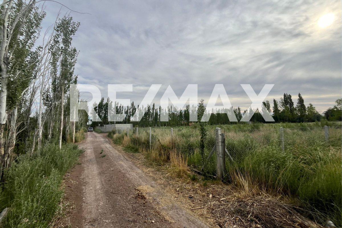 Foto de Chacra 1 Hectarea en Pueblo Conejo - Fernandez Oro, imagen 3