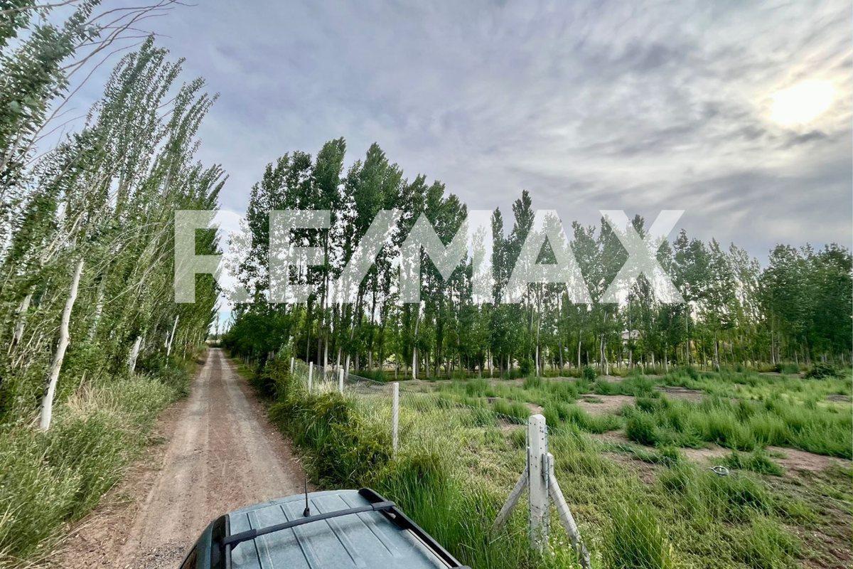 Foto de Chacra 1 Hectarea en Pueblo Conejo - Fernandez Oro, imagen 5