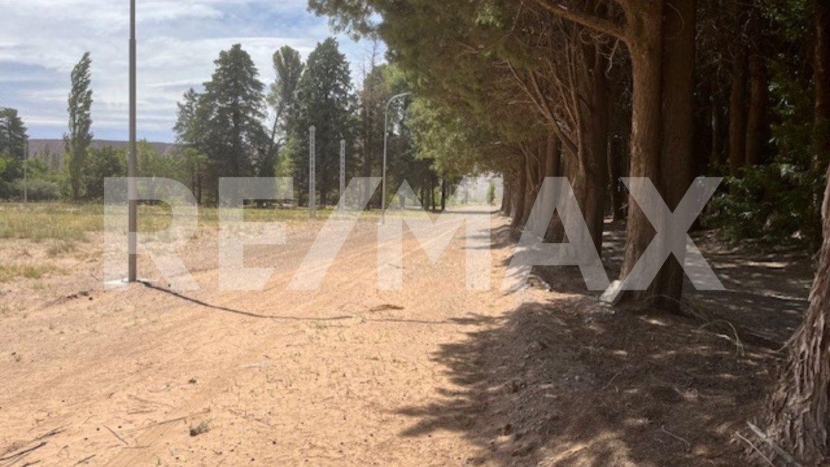 Foto de VENTA TERRENO PRADERAS ESMERALDAS FINANCIACION, imagen 4
