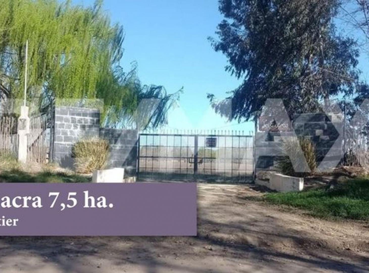 Foto de Chacra 7,5 hectareas con brazo de rio, imagen 3