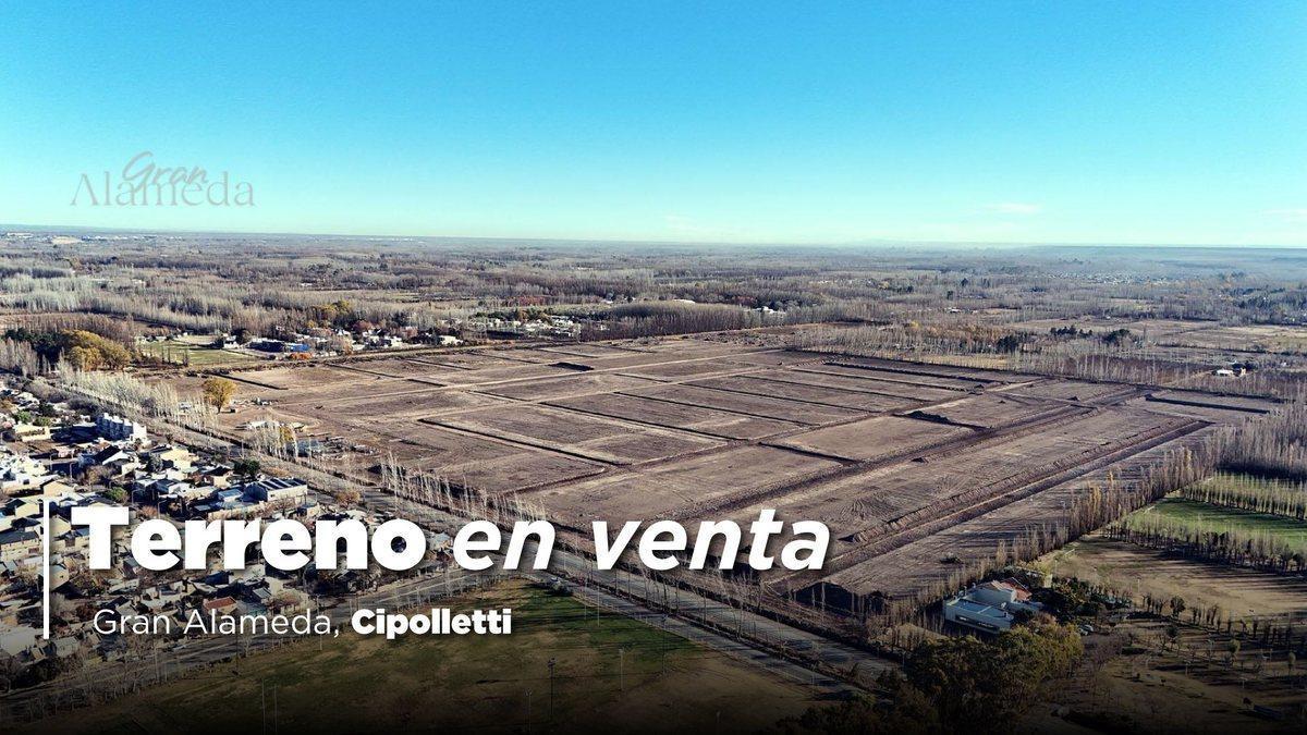 Foto de VENTA TERRENO GRAN ALAMEDA CIPOLLETTI, imagen 3