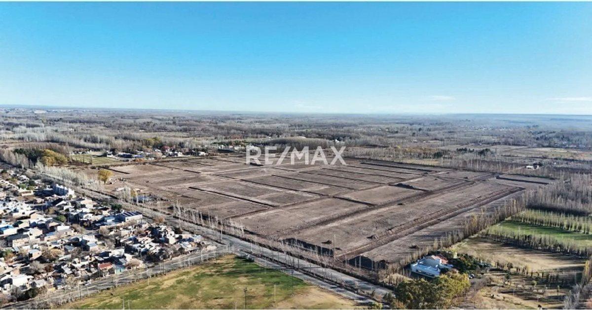 Foto de VENTA TERRENO GRAN ALAMEDA CIPOLLETTI, imagen 2