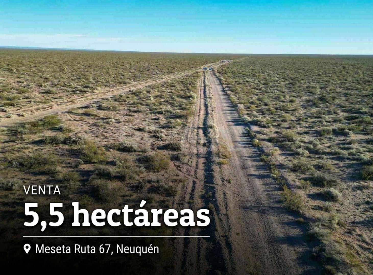 Foto de Venta 5,5 hectareas - Meseta Ruta 67 Neuquen, imagen 1
