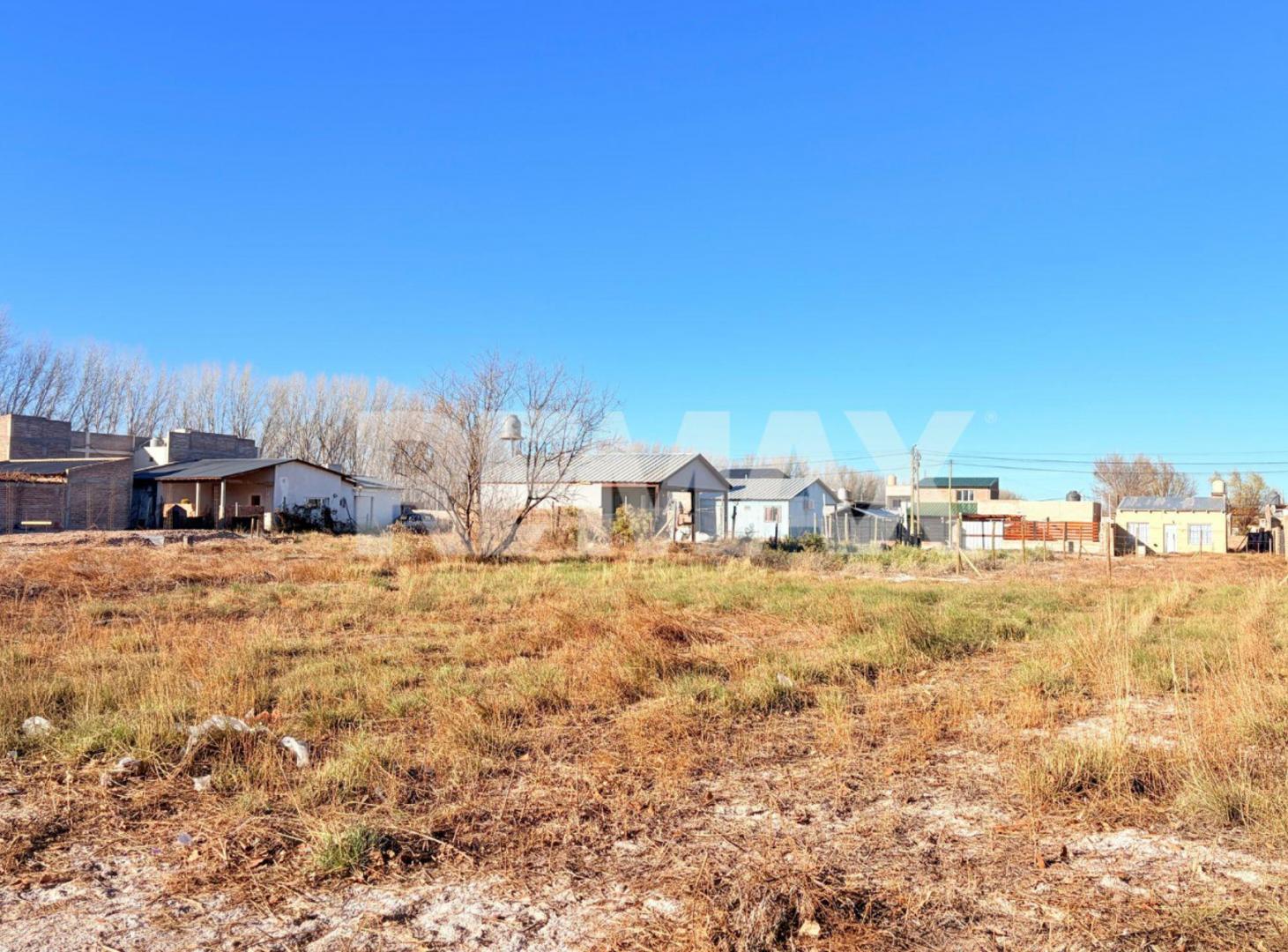 Foto de EN VENTA LOTE EN SAN PATRICIO DEL CHAÑAR, imagen 2