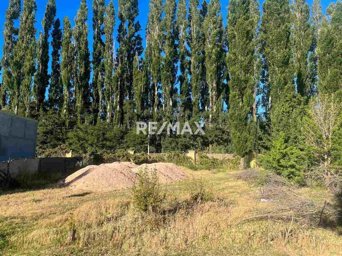 Foto de Terreno en venta Finca de Villa Muluen, imagen 4