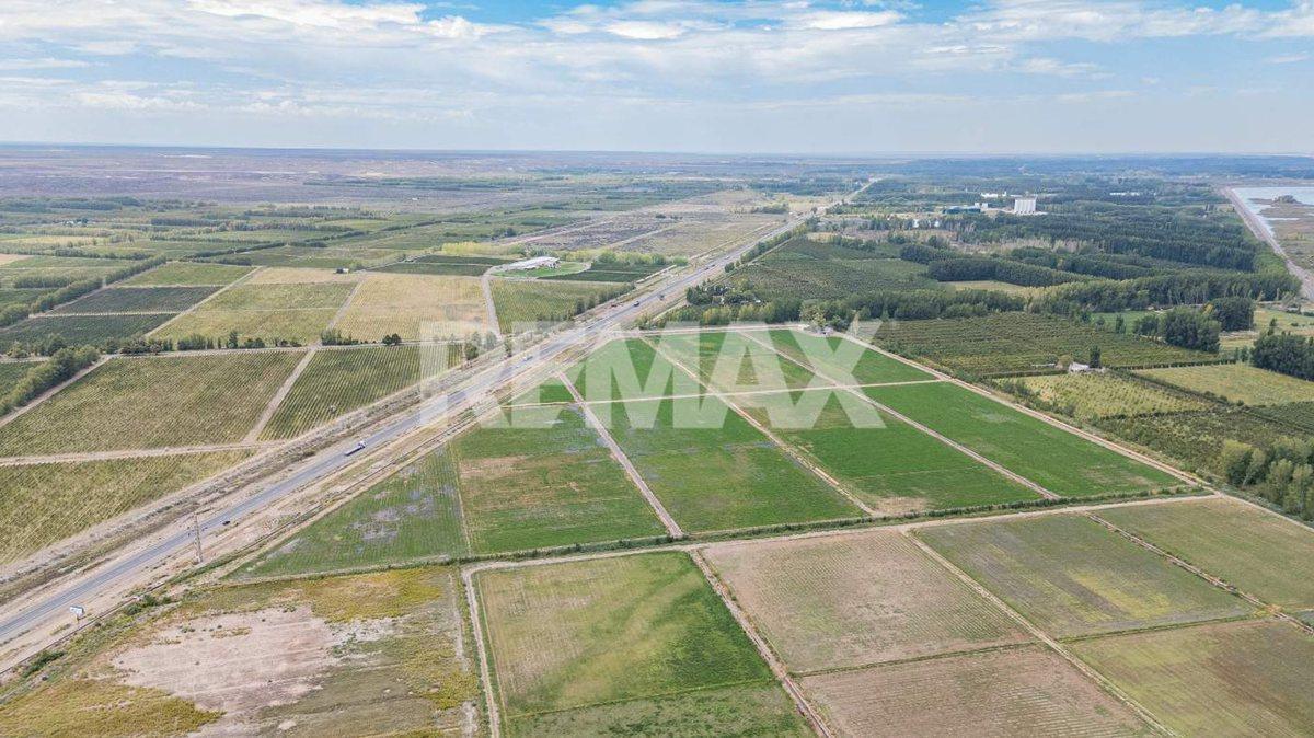 Foto de EN VENTA CHACRA FRENTE DE RUTA 7 S.P DEL CHAÑAR, imagen 5