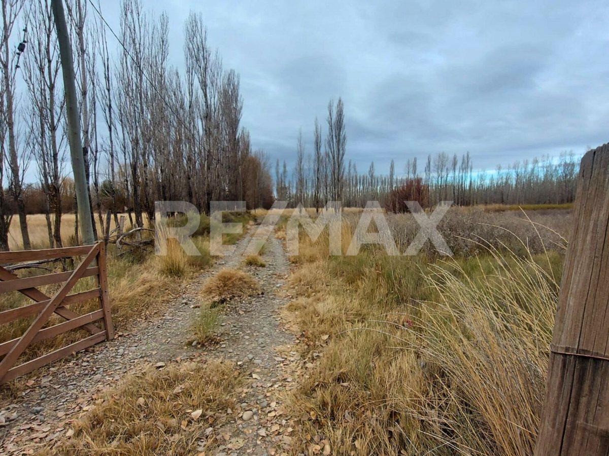 Foto de VENTA CHACRA 5,42 HA - SENILLOSA, imagen 5