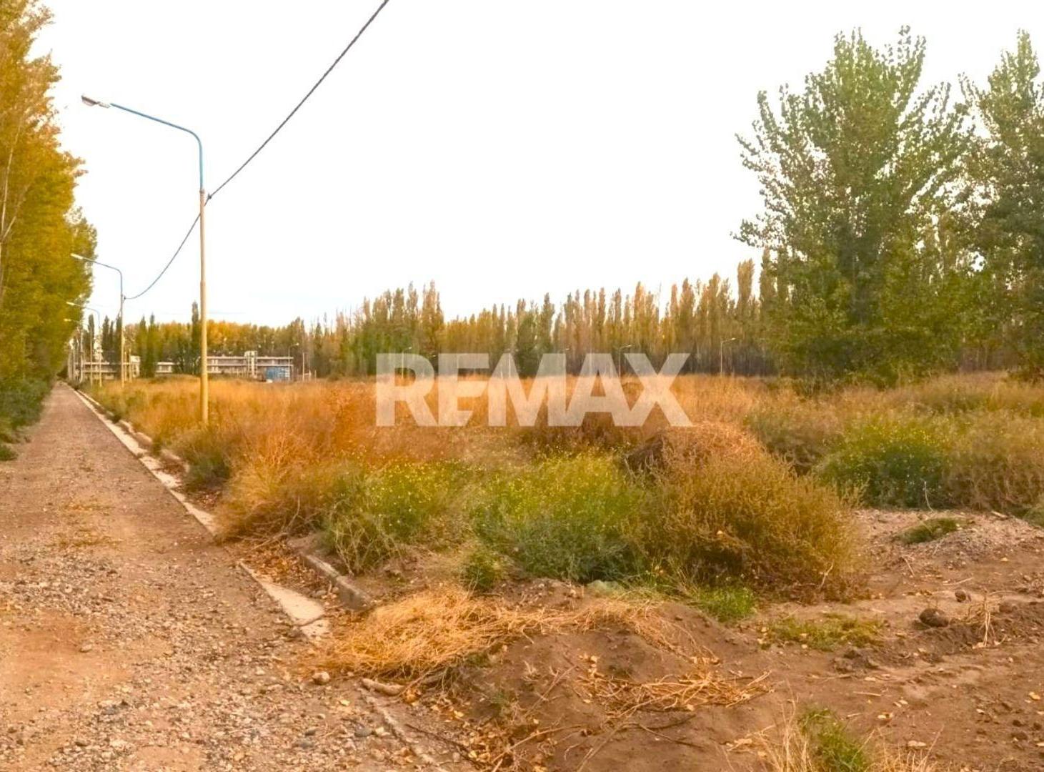 Foto de VENTA TERRENO EN CIUDAD DE CENTENARIO, imagen 4