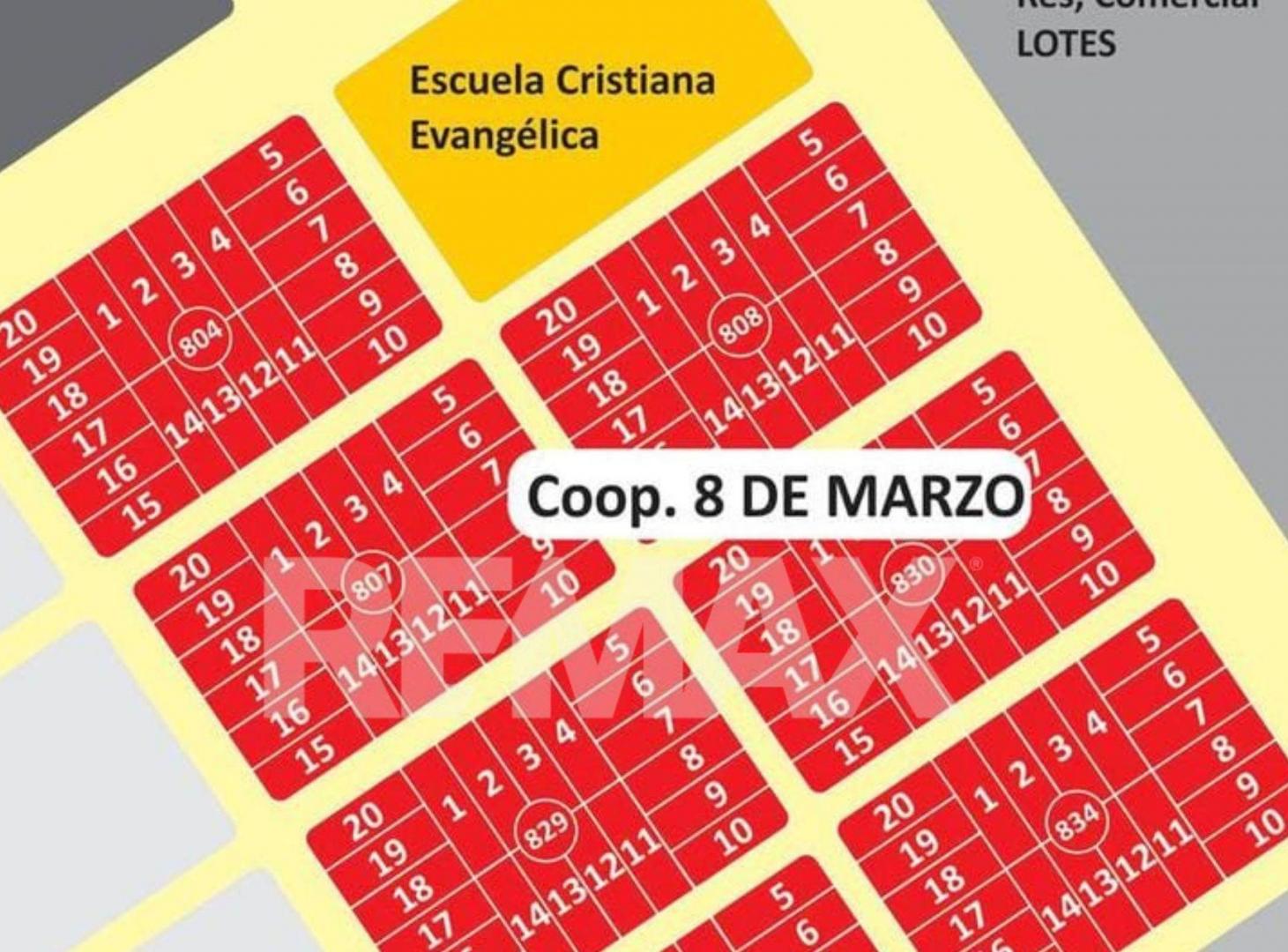Foto de EN VENTA LOTE DE 600M2 EN LA MESETA DE CENTENARIO, imagen 2