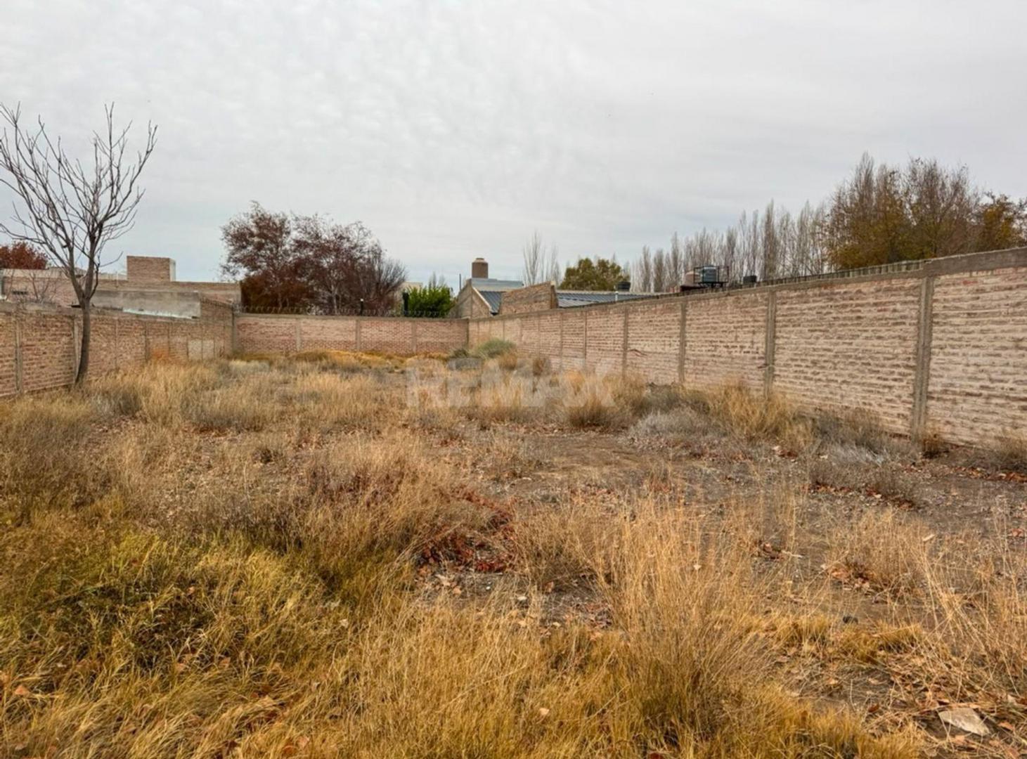 Foto de Venta terreno 625 m2 Plottier Neuquen, imagen 3
