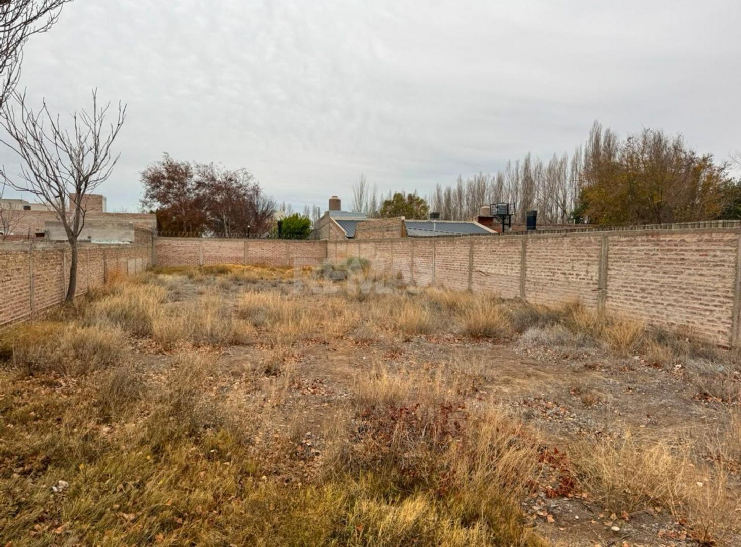 Foto de Venta terreno 625 m2 Plottier Neuquen, imagen 2