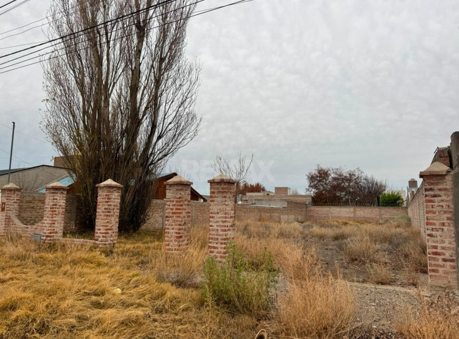 Foto de Venta terreno 625 m2 Plottier Neuquen, imagen 5