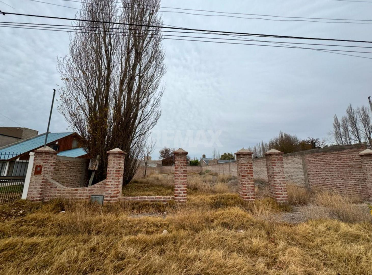 Foto de Venta terreno 625 m2 Plottier Neuquen, imagen 4