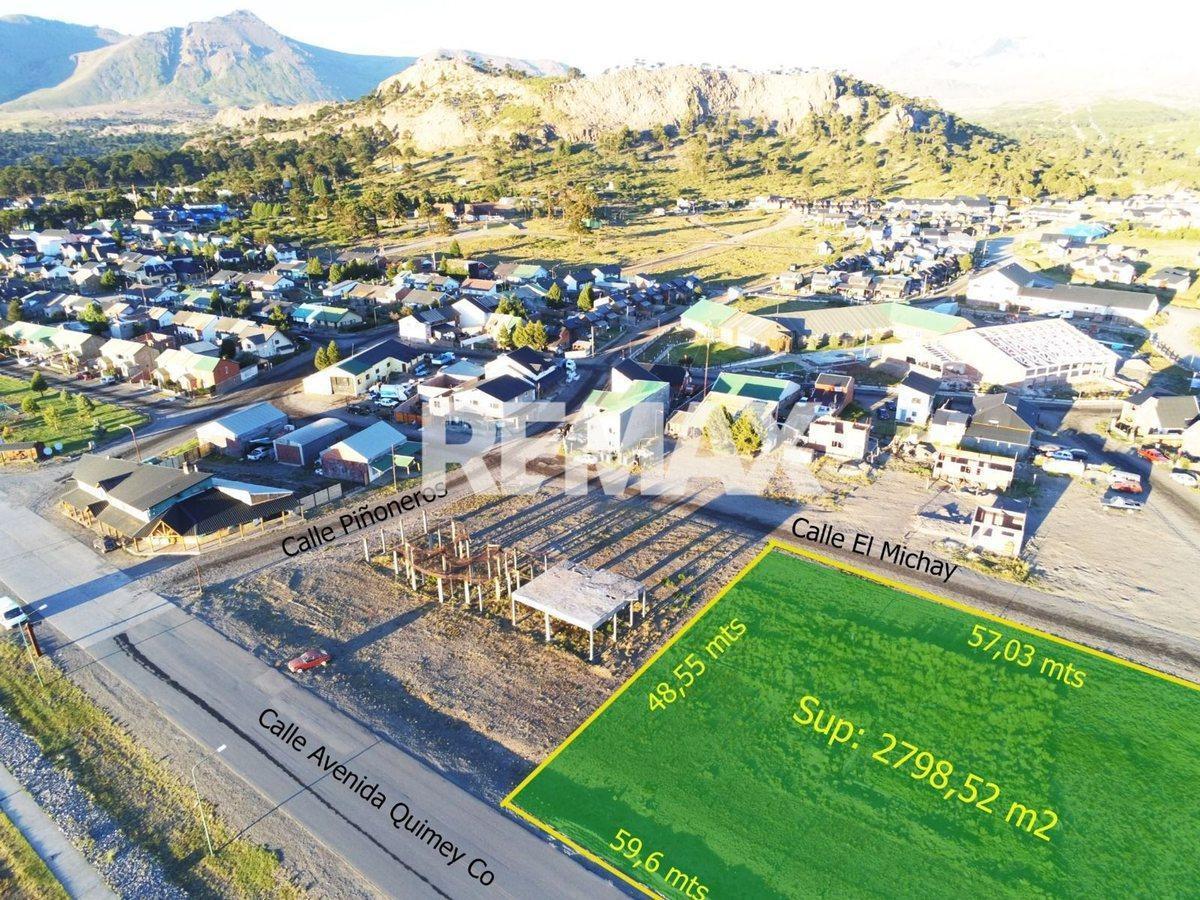 Foto de EN VENTA - LOTE FRENTE AL LAGO CAVIAHUE, imagen 4