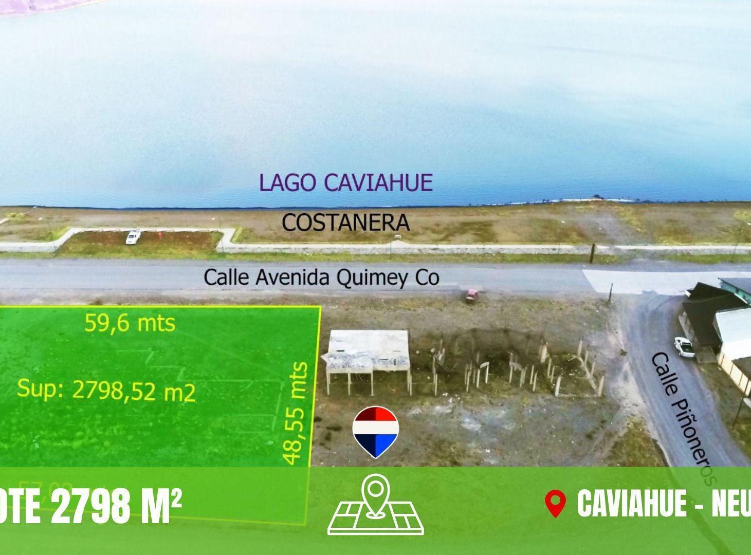 Foto de EN VENTA - LOTE FRENTE AL LAGO CAVIAHUE, imagen 2