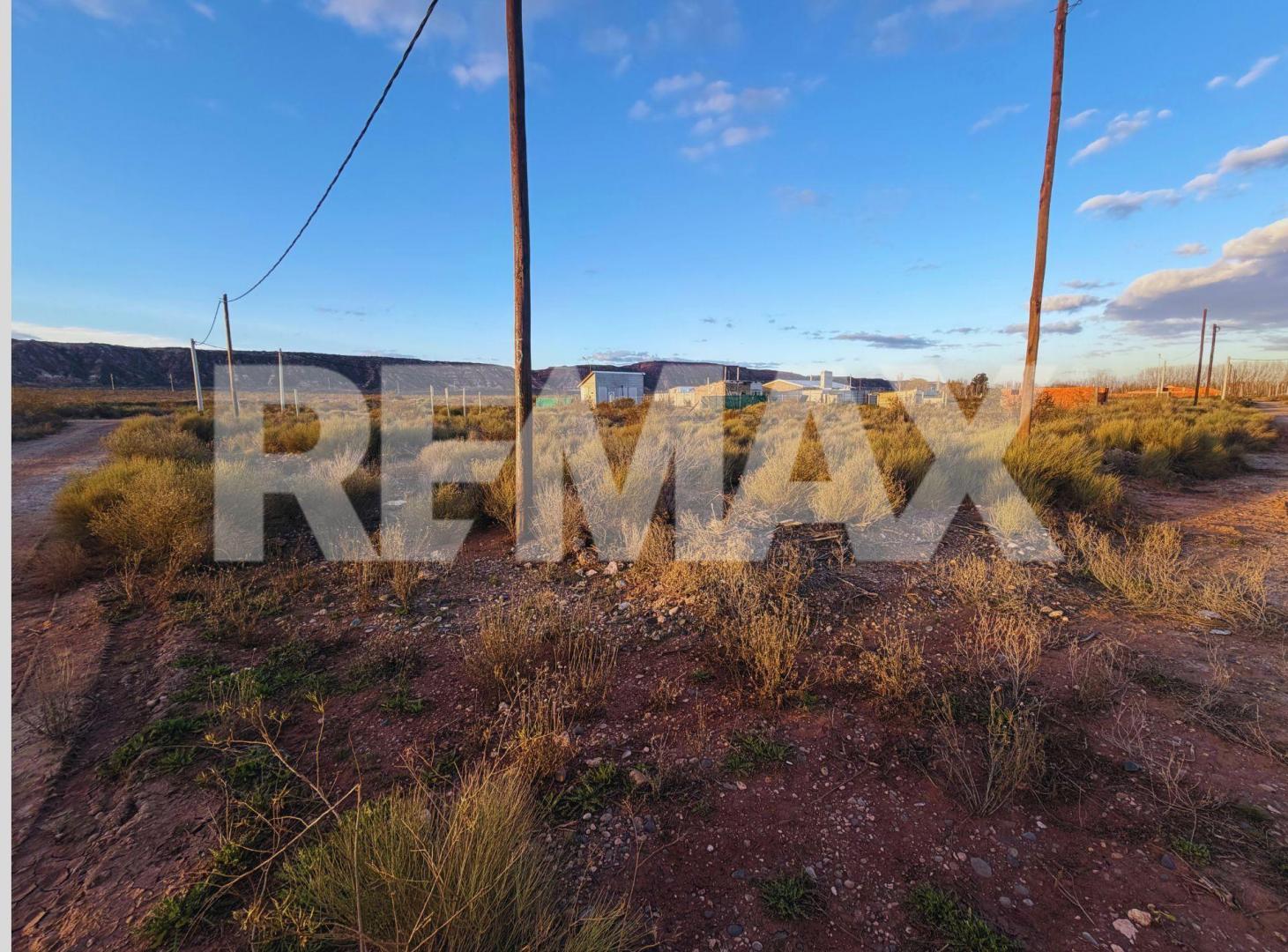 Foto de VENTA LOTE EN ESQUINA AMEDEA 287M2, imagen 1