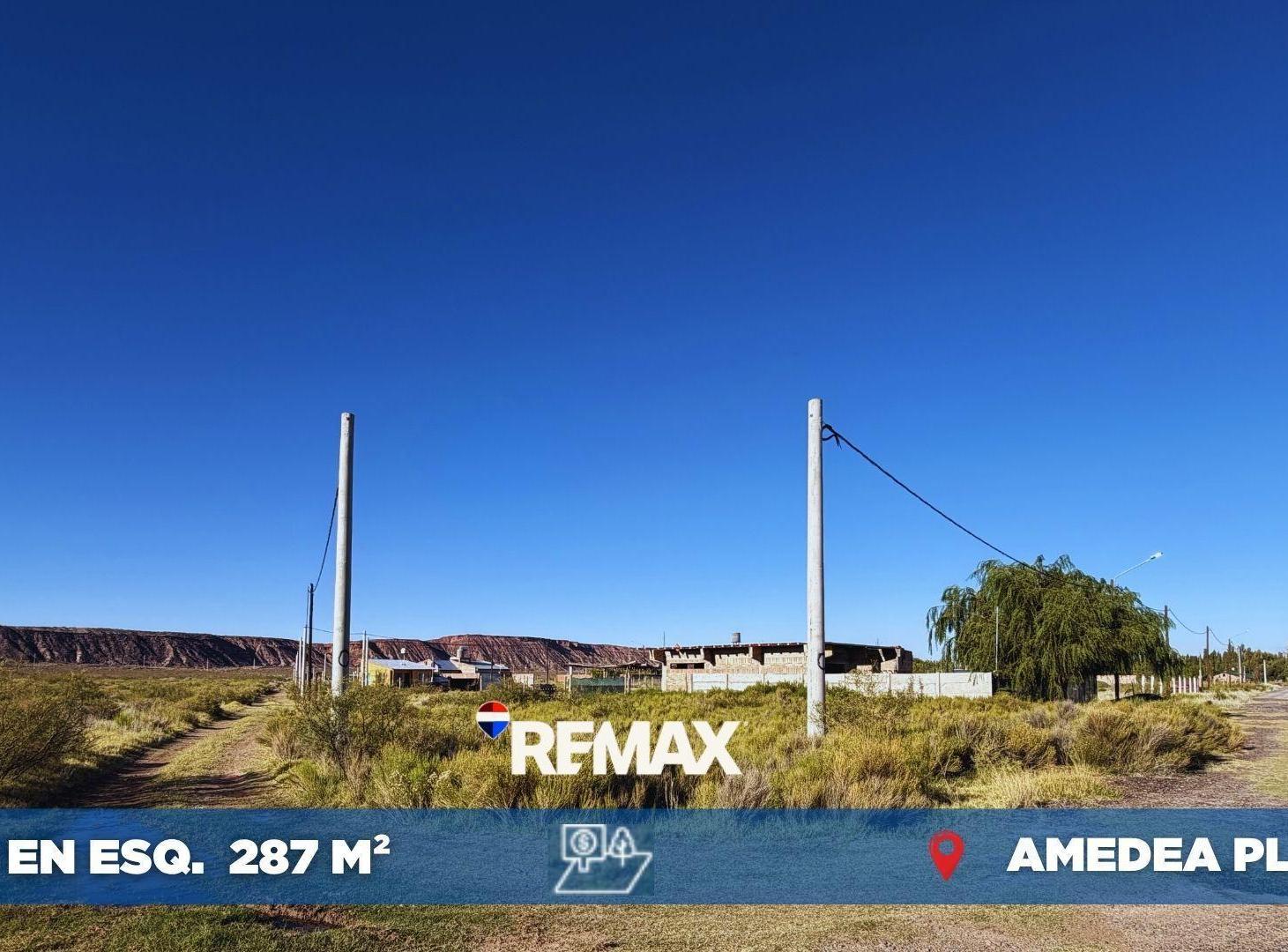 Foto de VENTA LOTE EN ESQUINA AMEDEA 287M2, imagen 5