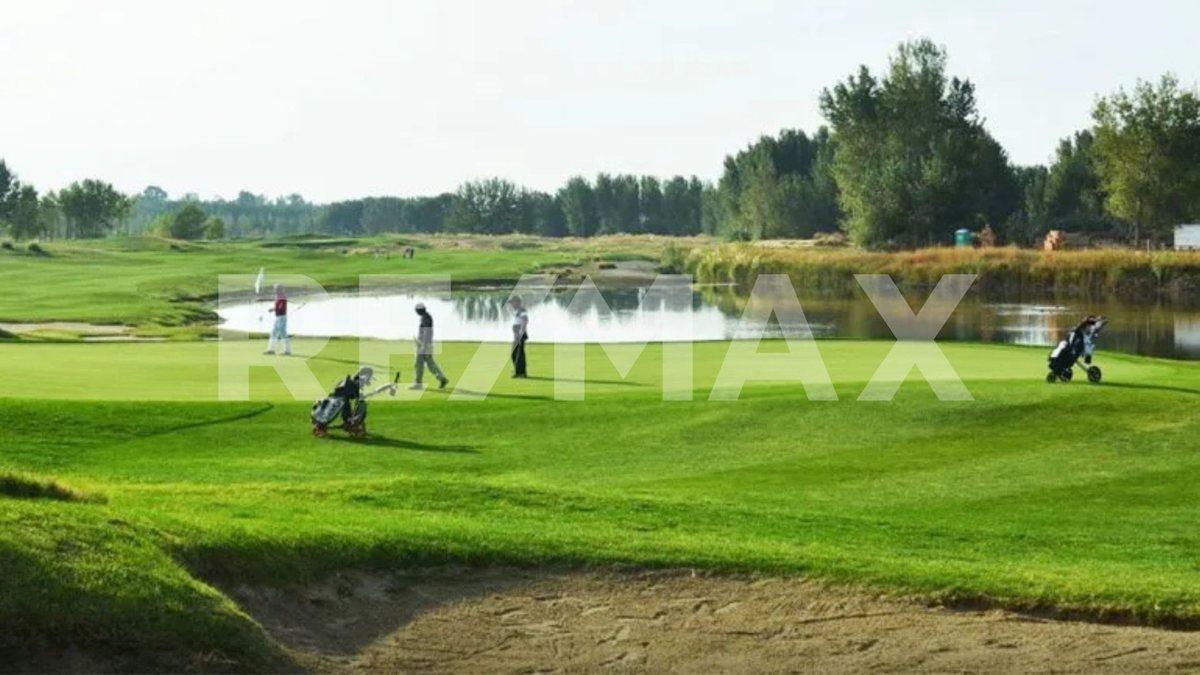 Foto de TERRENO EN VENTA EN LOS CANALES DE PLOTTIER, imagen 5
