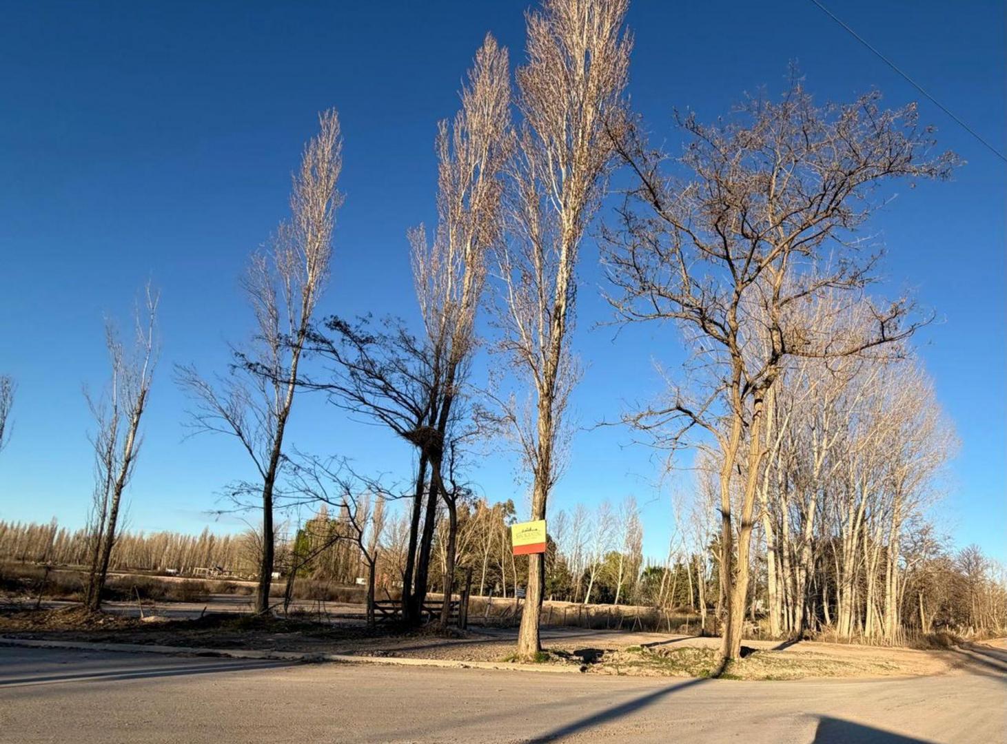 Foto de Lote en Venta, Loteo GRAN BOULEVARD, Valentina Sur, imagen 2
