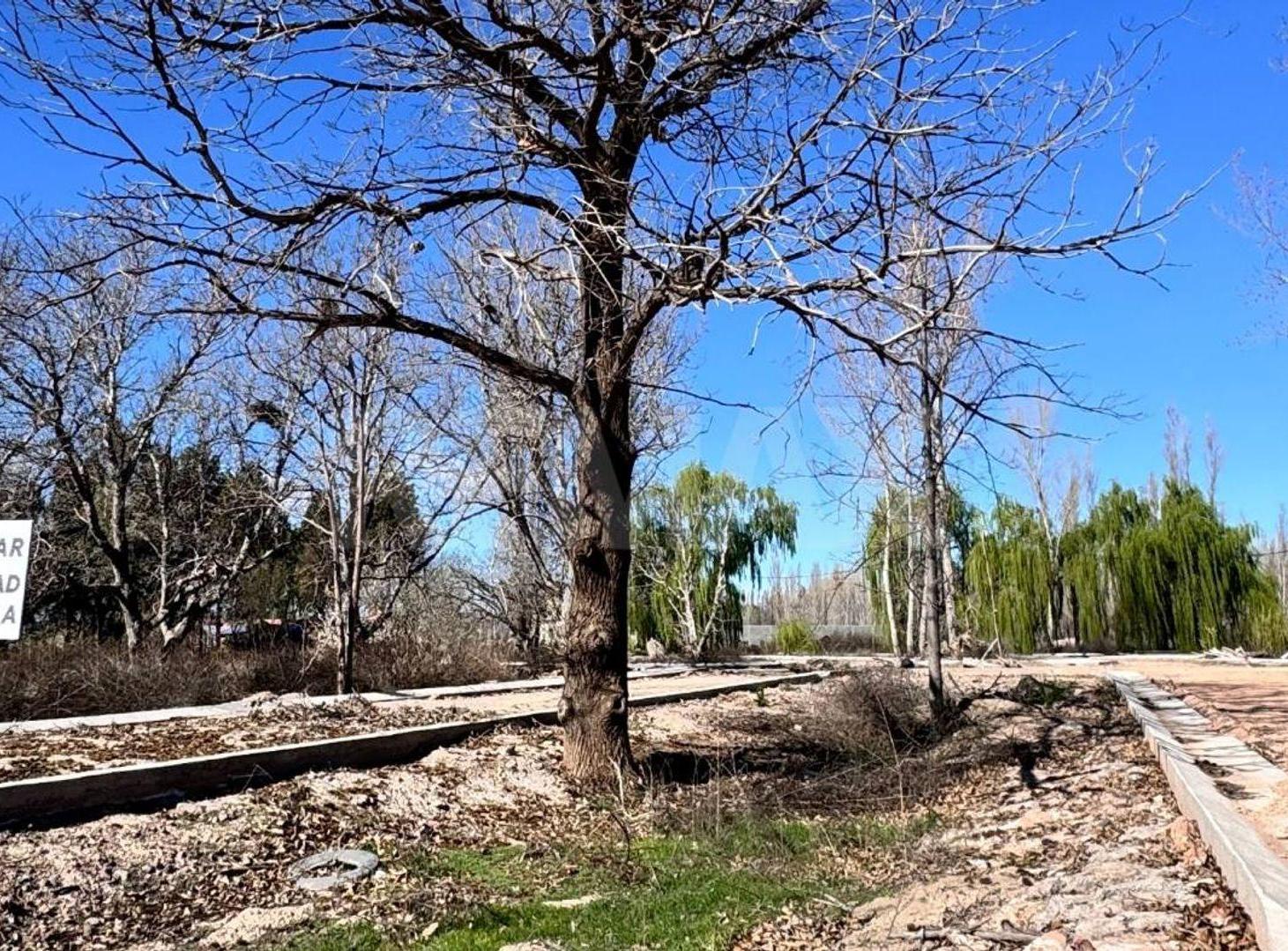 Foto de LOTE 300 M2 EN VENTA GRAND BOULEVARD NEUQUEN, imagen 2