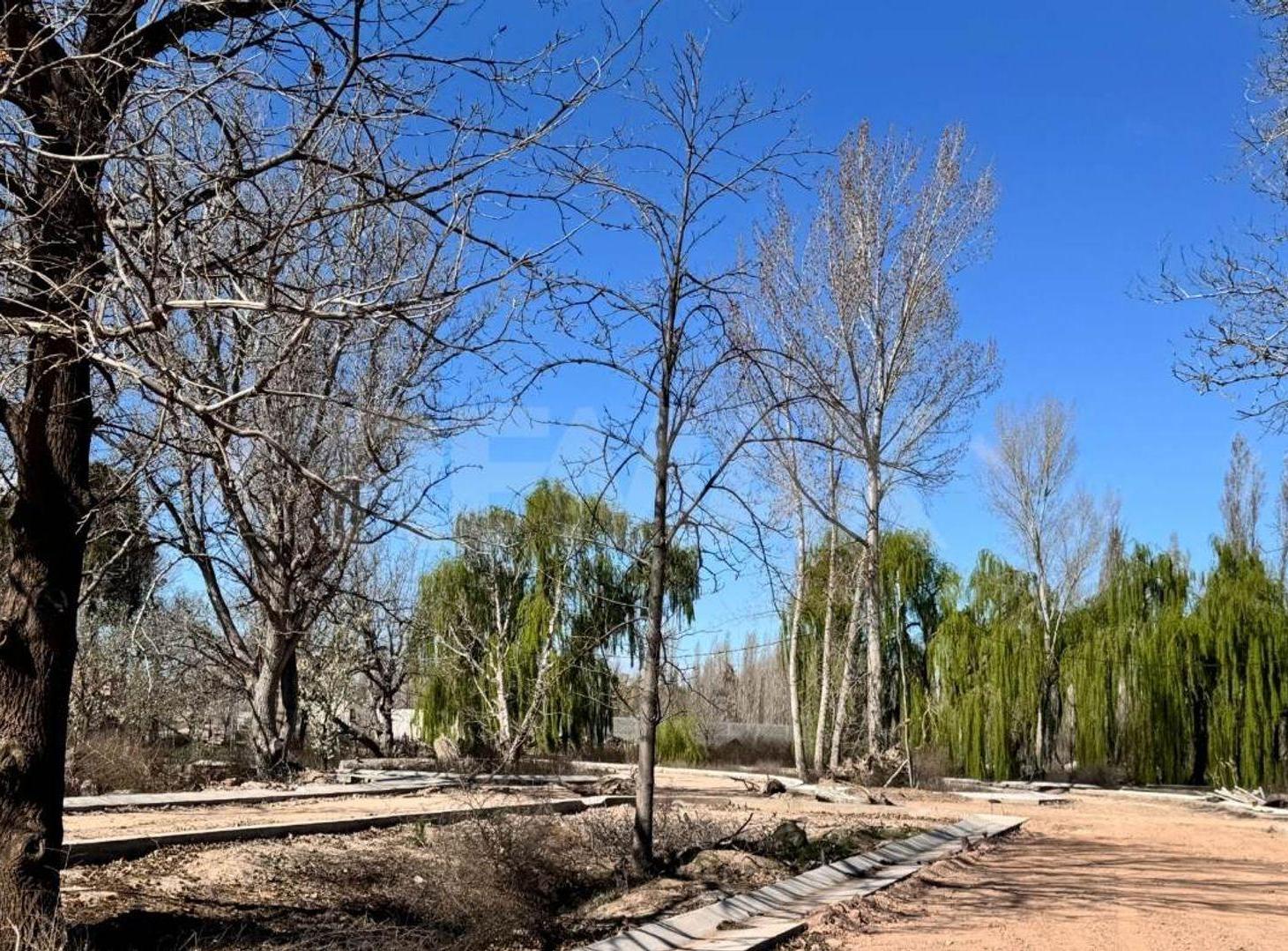Foto de LOTE 300 M2 EN VENTA GRAND BOULEVARD NEUQUEN, imagen 3