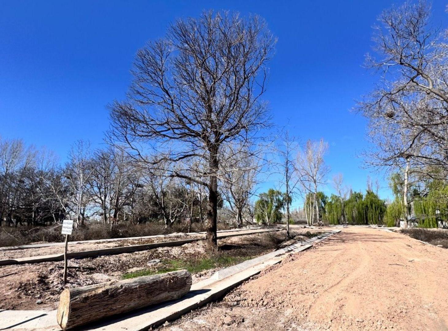 Foto de LOTE 341 M2 EN VENTA GRAND BOULEVARD NEUQUEN, imagen 5