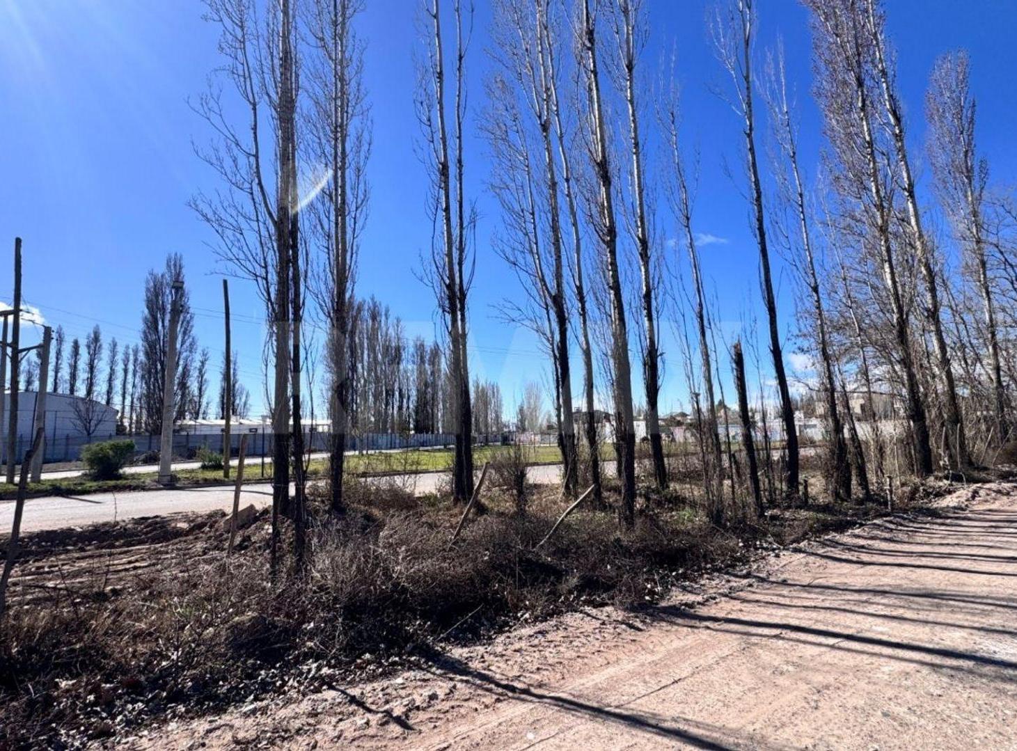 Foto de LOTE 341 M2 EN VENTA GRAND BOULEVARD NEUQUEN, imagen 2