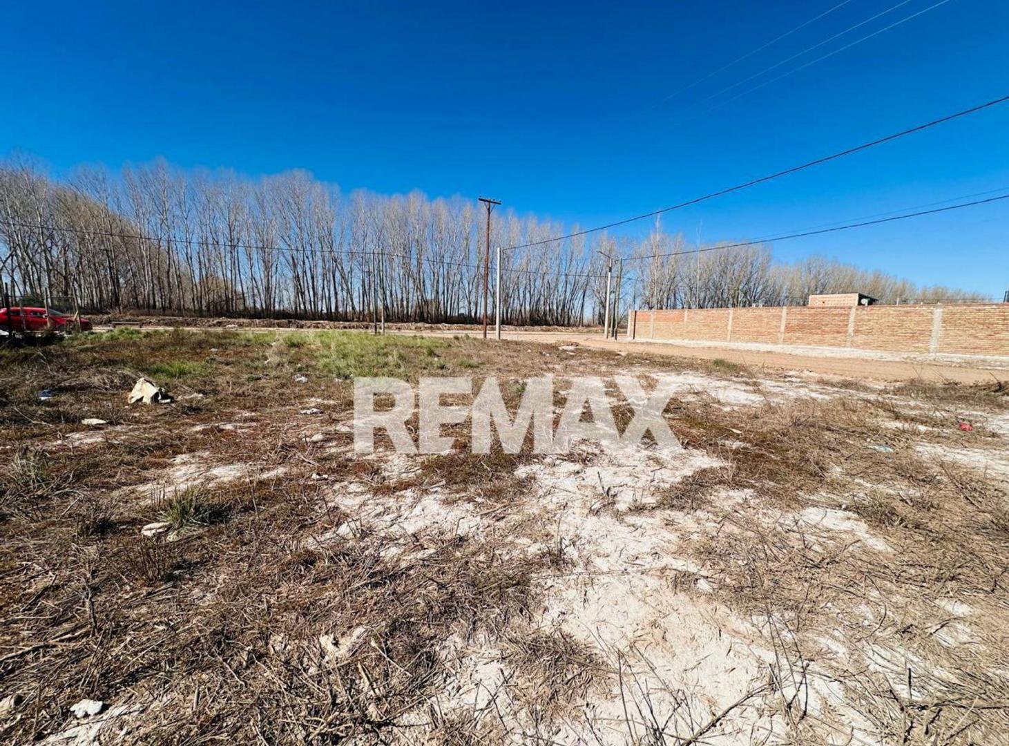 Foto de TERRENO 273,8m2 EN ESQUINA,SAN PATRICIO DEL CHAÑAR, imagen 5